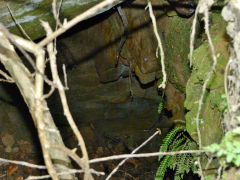 Gelligroes level, August 2011